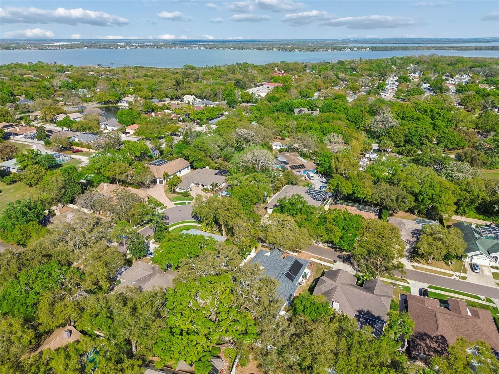 1709 LA FOREST AVE, SAFETY HARBOR, FL, 34695