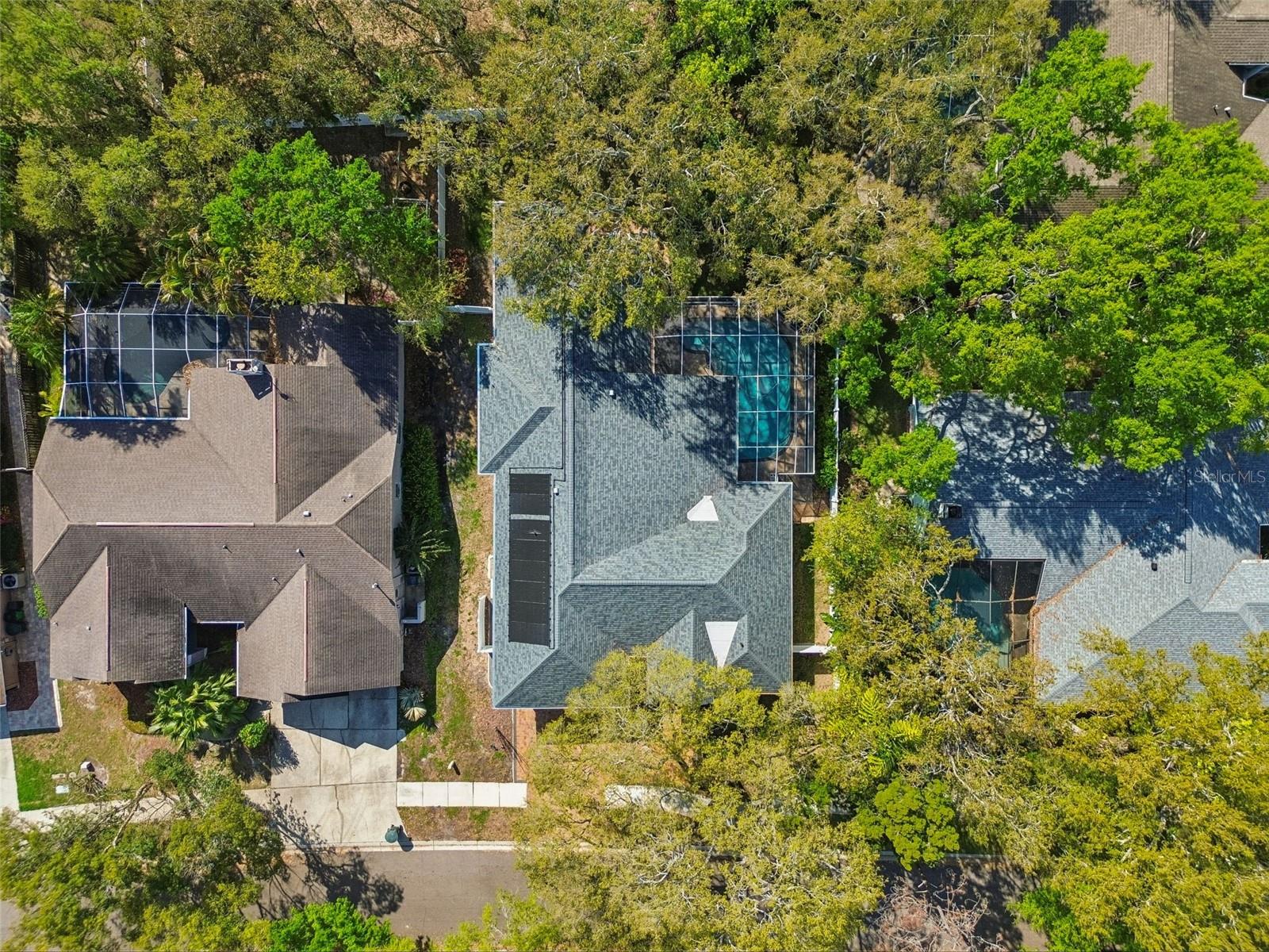 1709 LA FOREST AVE, SAFETY HARBOR, FL, 34695