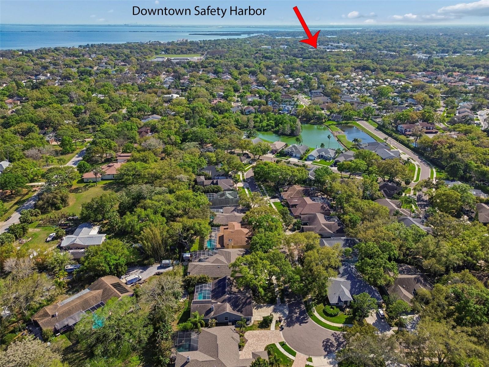 1709 LA FOREST AVE, SAFETY HARBOR, FL, 34695