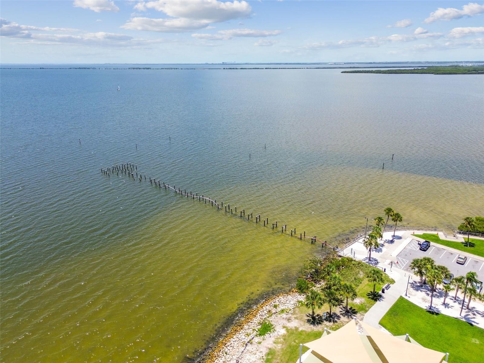 1709 LA FOREST AVE, SAFETY HARBOR, FL, 34695