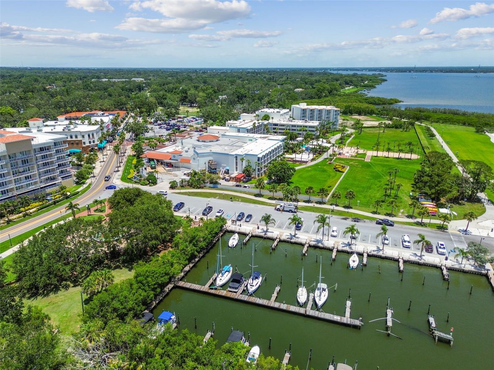 1709 LA FOREST AVE, SAFETY HARBOR, FL, 34695