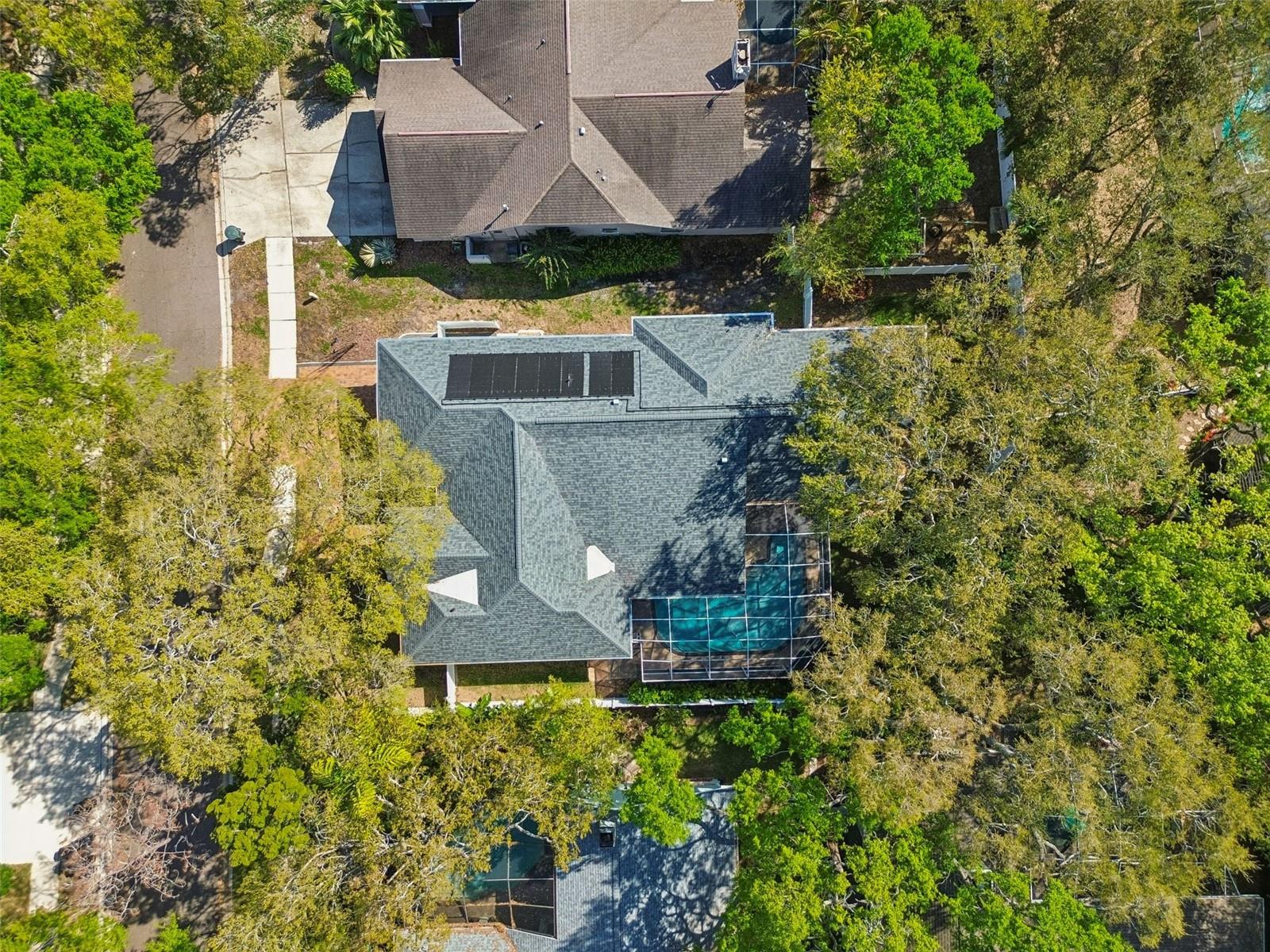 1709 LA FOREST AVE, SAFETY HARBOR, FL, 34695