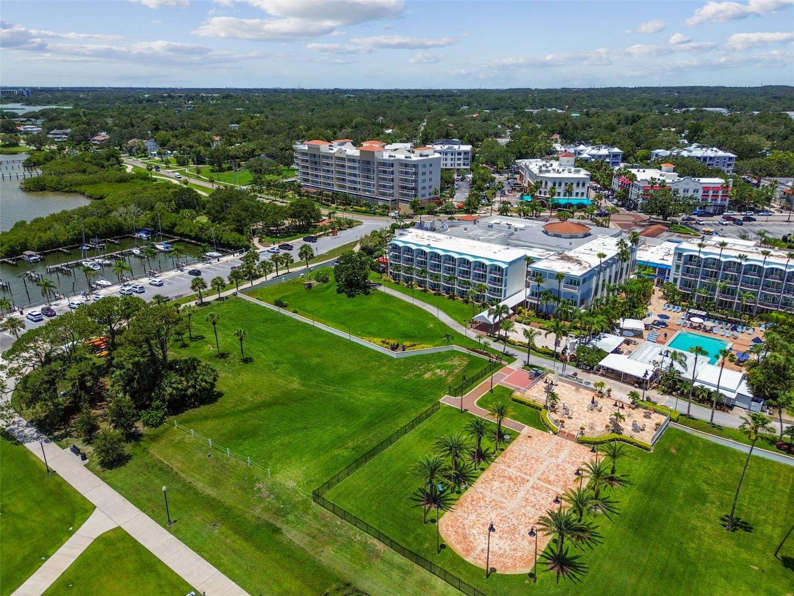 1709 LA FOREST AVE, SAFETY HARBOR, FL, 34695