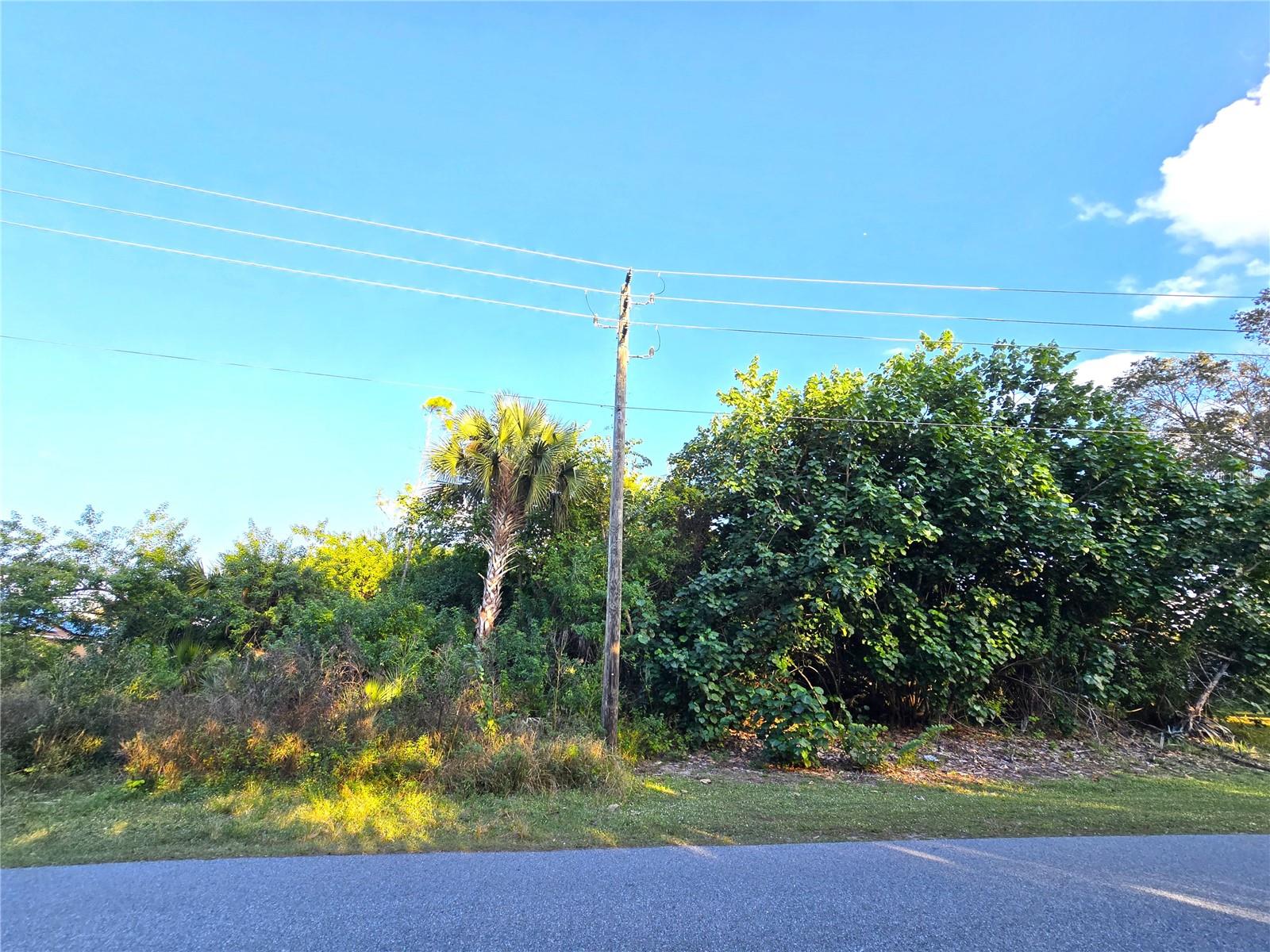 1667 RED BUD CIR NW, PALM BAY, FL, 32907