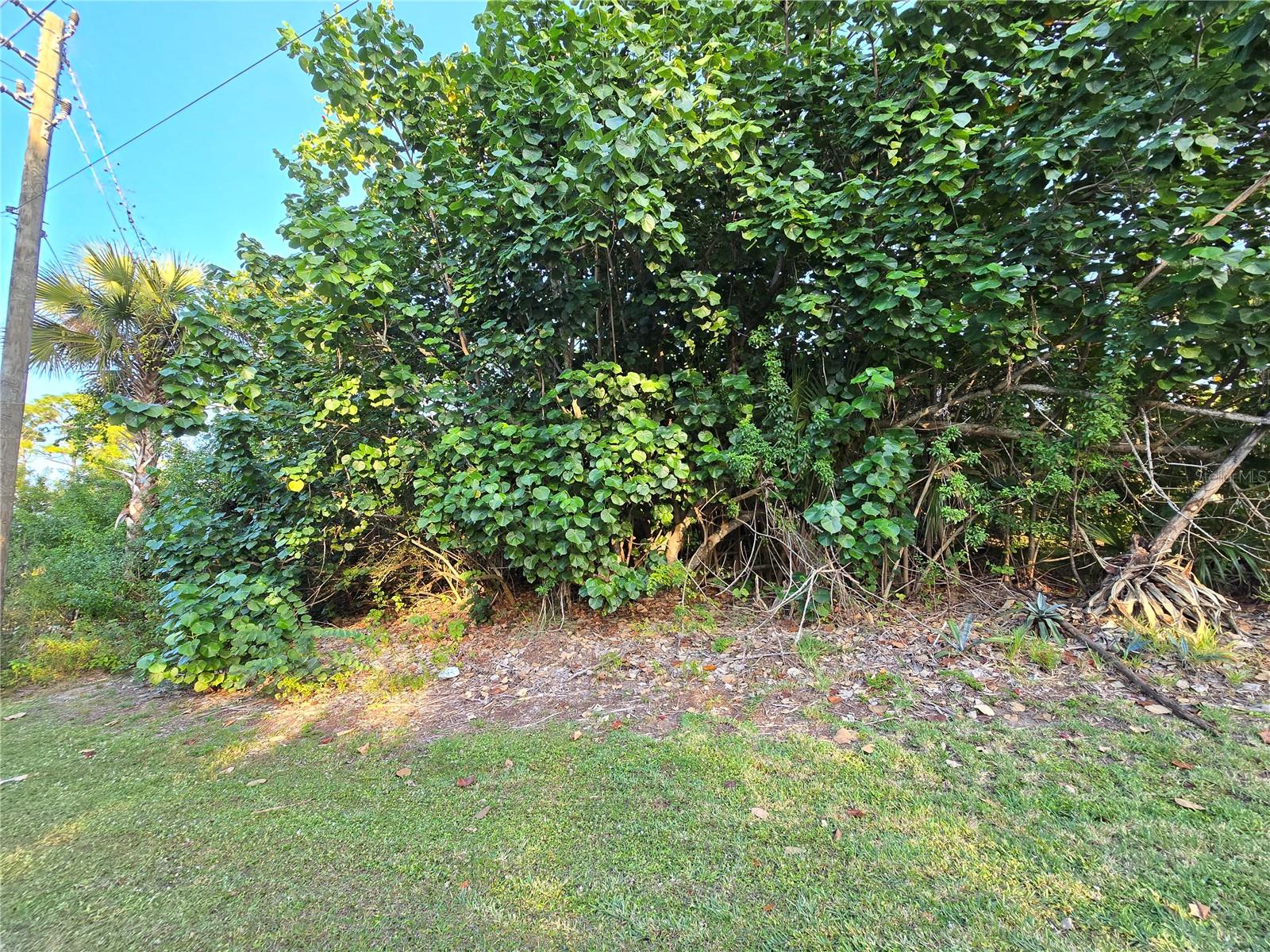 1667 RED BUD CIR NW, PALM BAY, FL, 32907