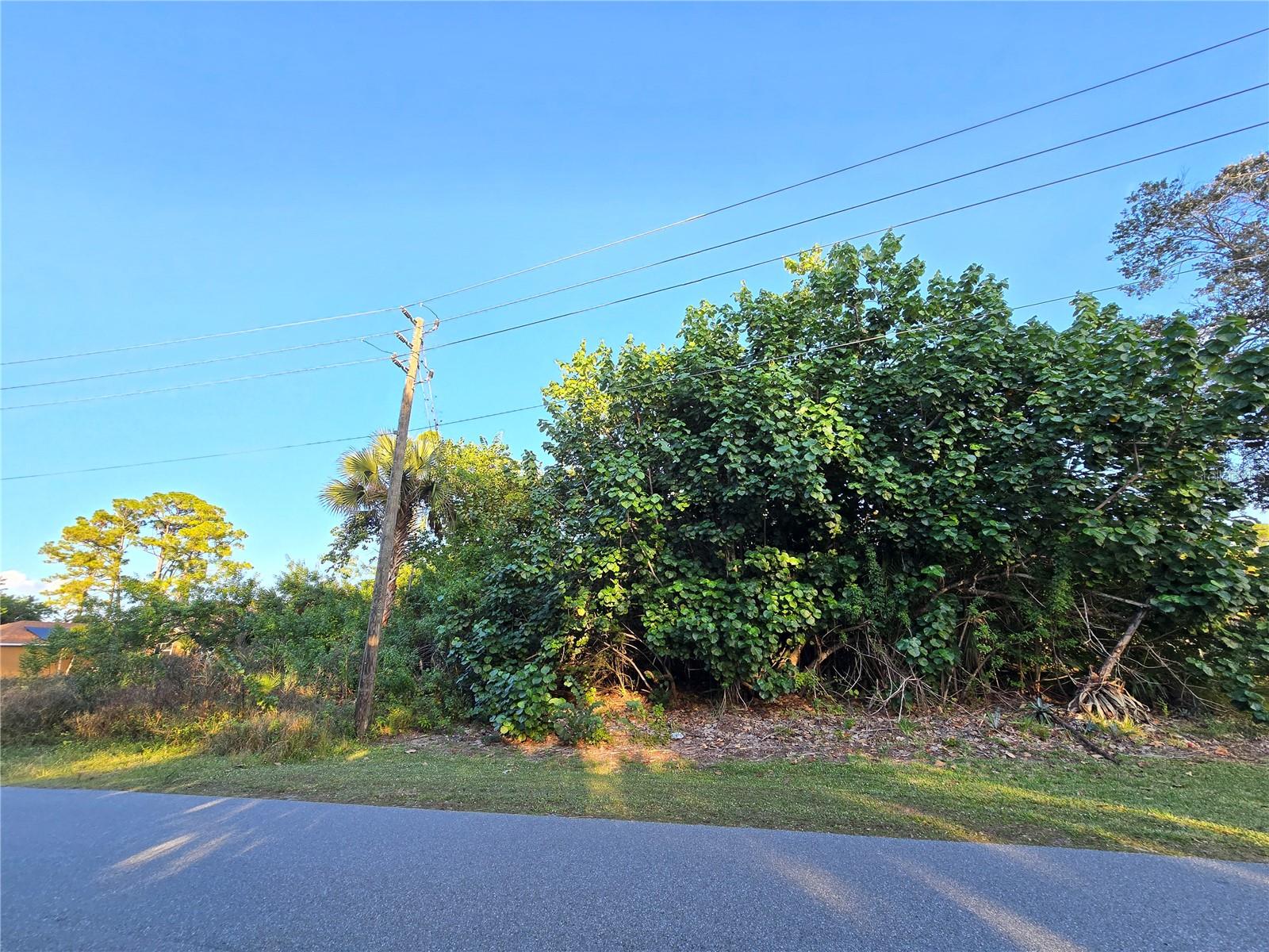 1667 RED BUD CIR NW, PALM BAY, FL, 32907