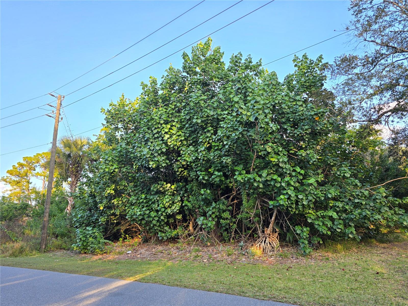 1667 RED BUD CIR NW, PALM BAY, FL, 32907