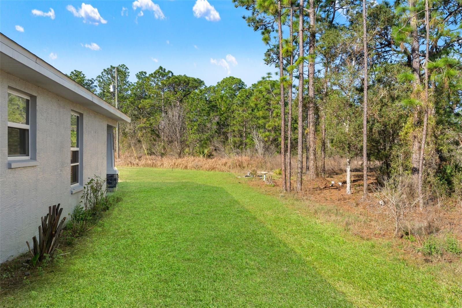 15250 BARRON CT, BROOKSVILLE, FL, 34614
