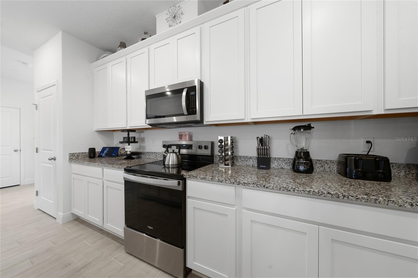 2040 SUNSHINE PEAK DR, MINNEOLA, FL, 34715