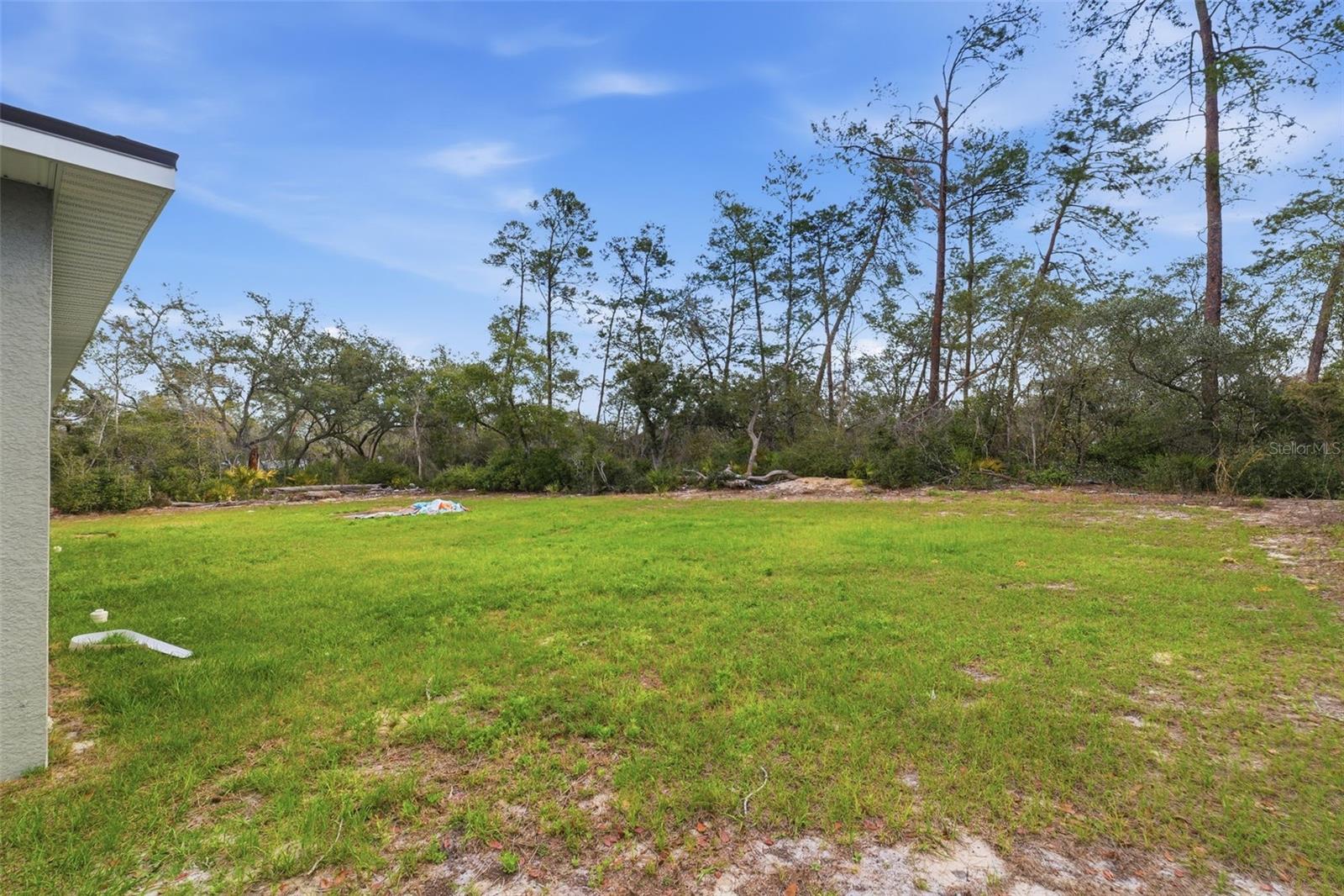 16265 SW 29TH COURT RD, OCALA, FL, 34473