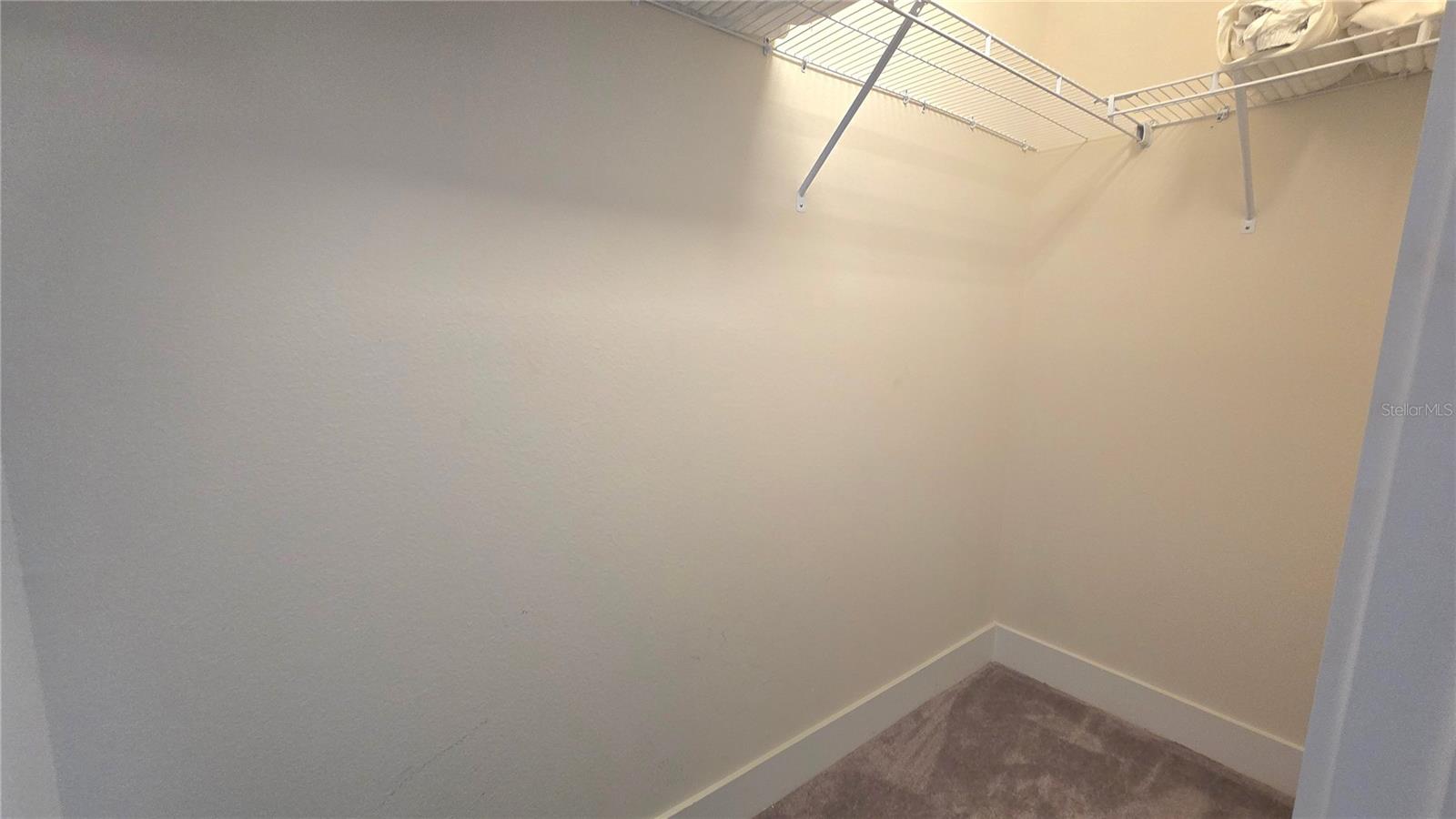 17340 BLESSING DR, CLERMONT, FL, 34714