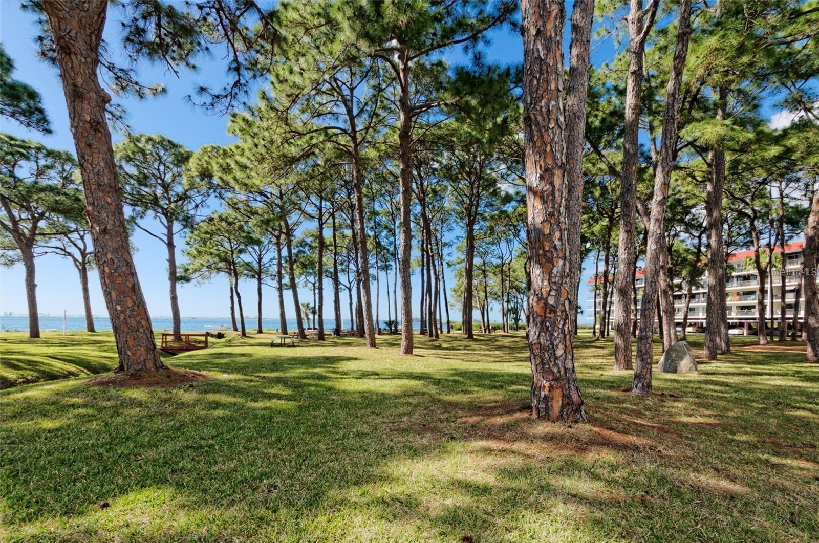 592 BELLA LOOP, DUNEDIN, FL, 34698