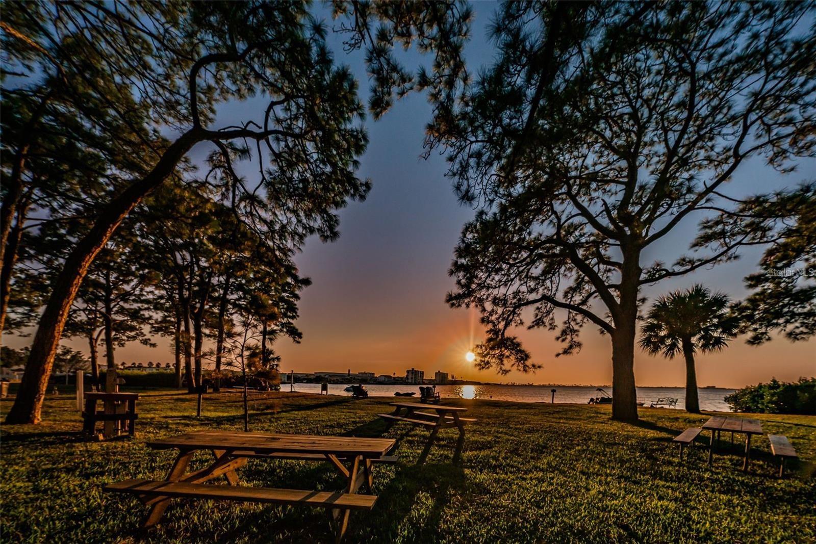 592 BELLA LOOP, DUNEDIN, FL, 34698