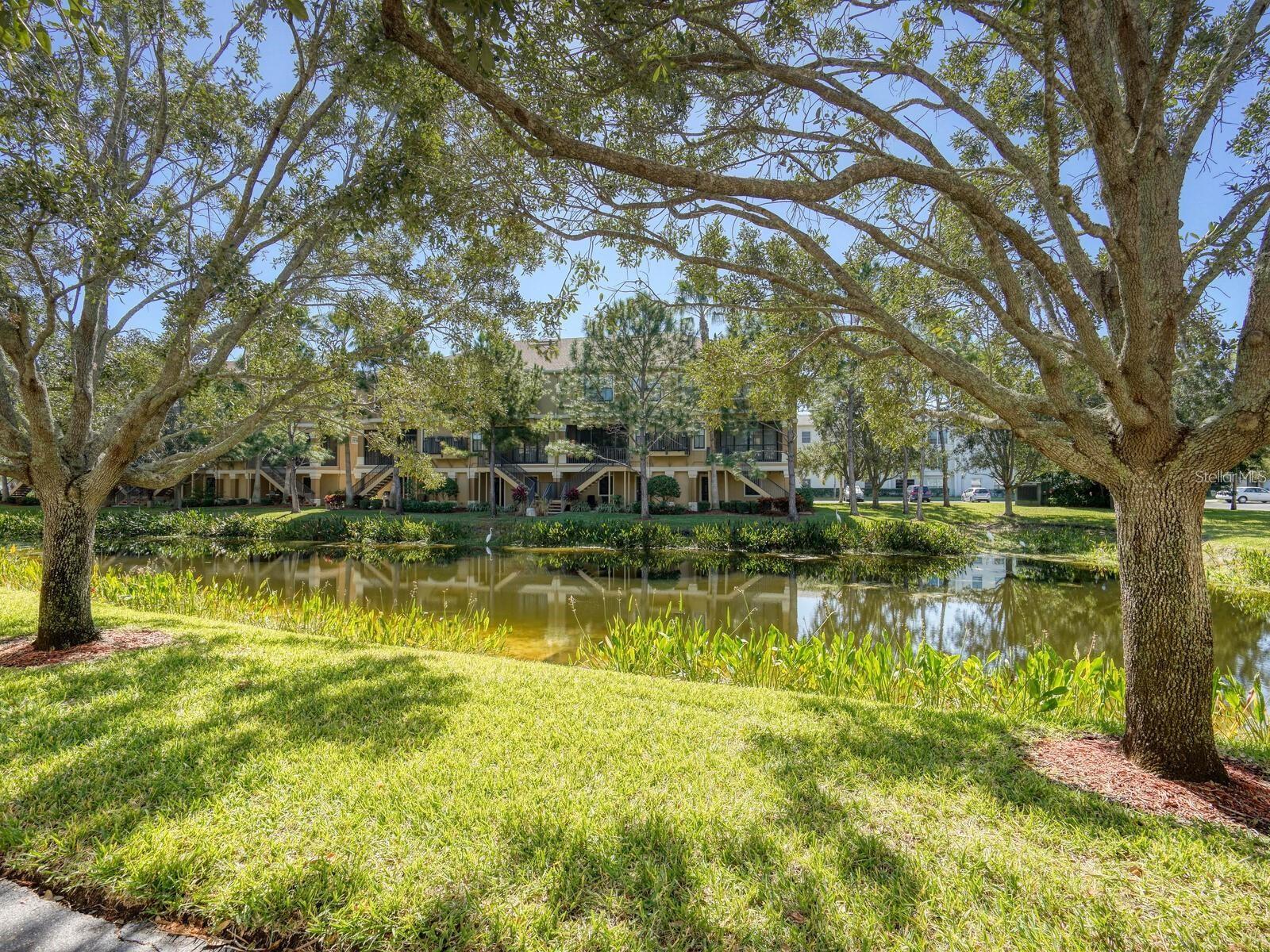 592 BELLA LOOP, DUNEDIN, FL, 34698