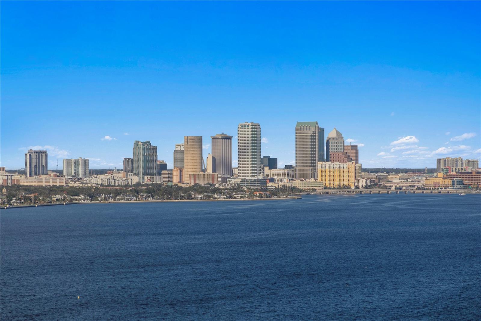 4201 BAYSHORE BLVD #2101, TAMPA, FL, 33611