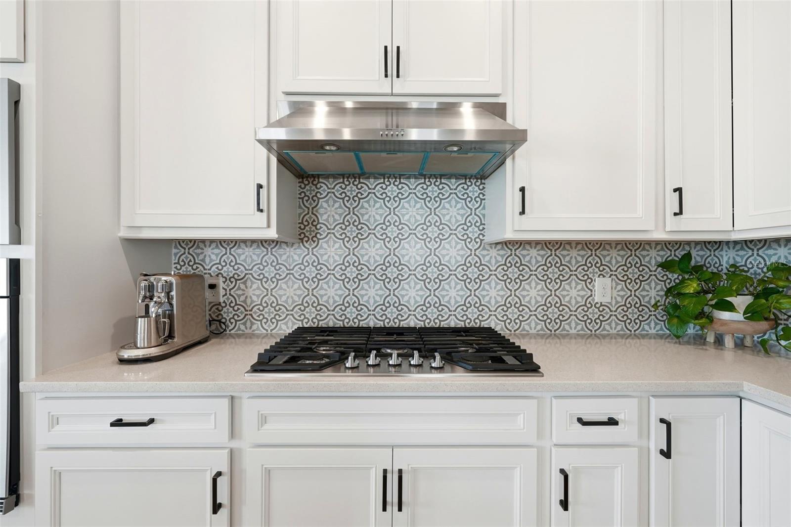 10325 PARKVIEW RESERVE LN, ORLANDO, FL, 32836