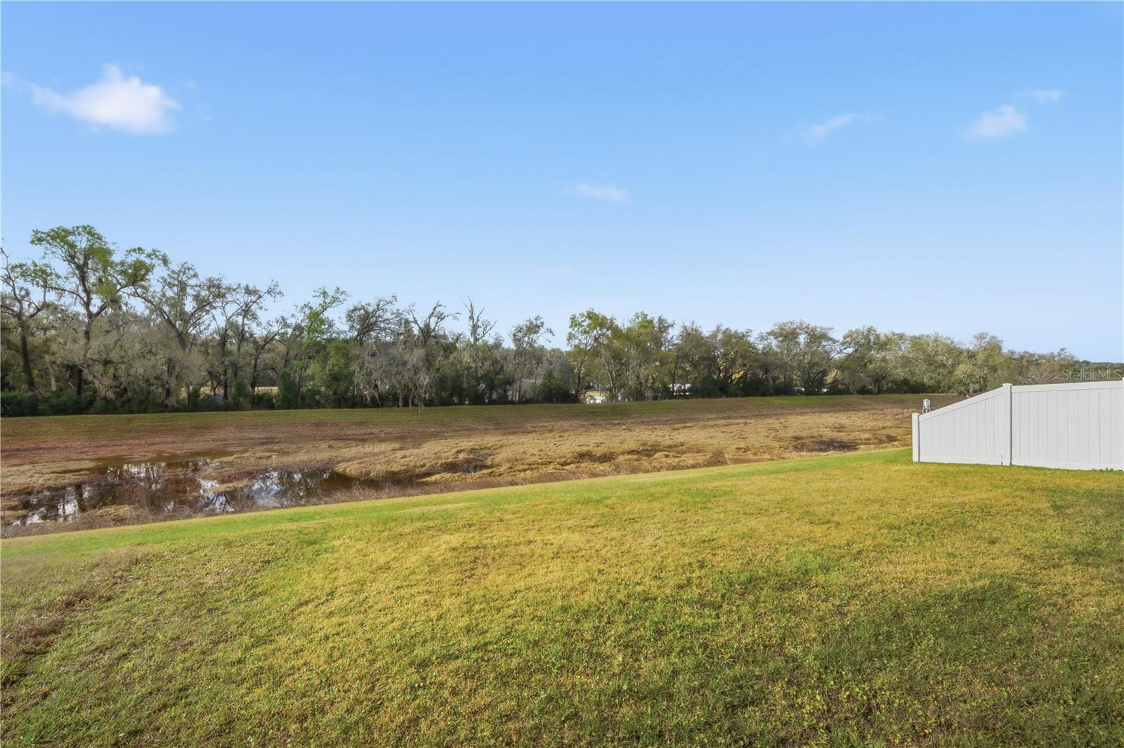 12945 OGDEN GLADE RD, DADE CITY, FL, 33525