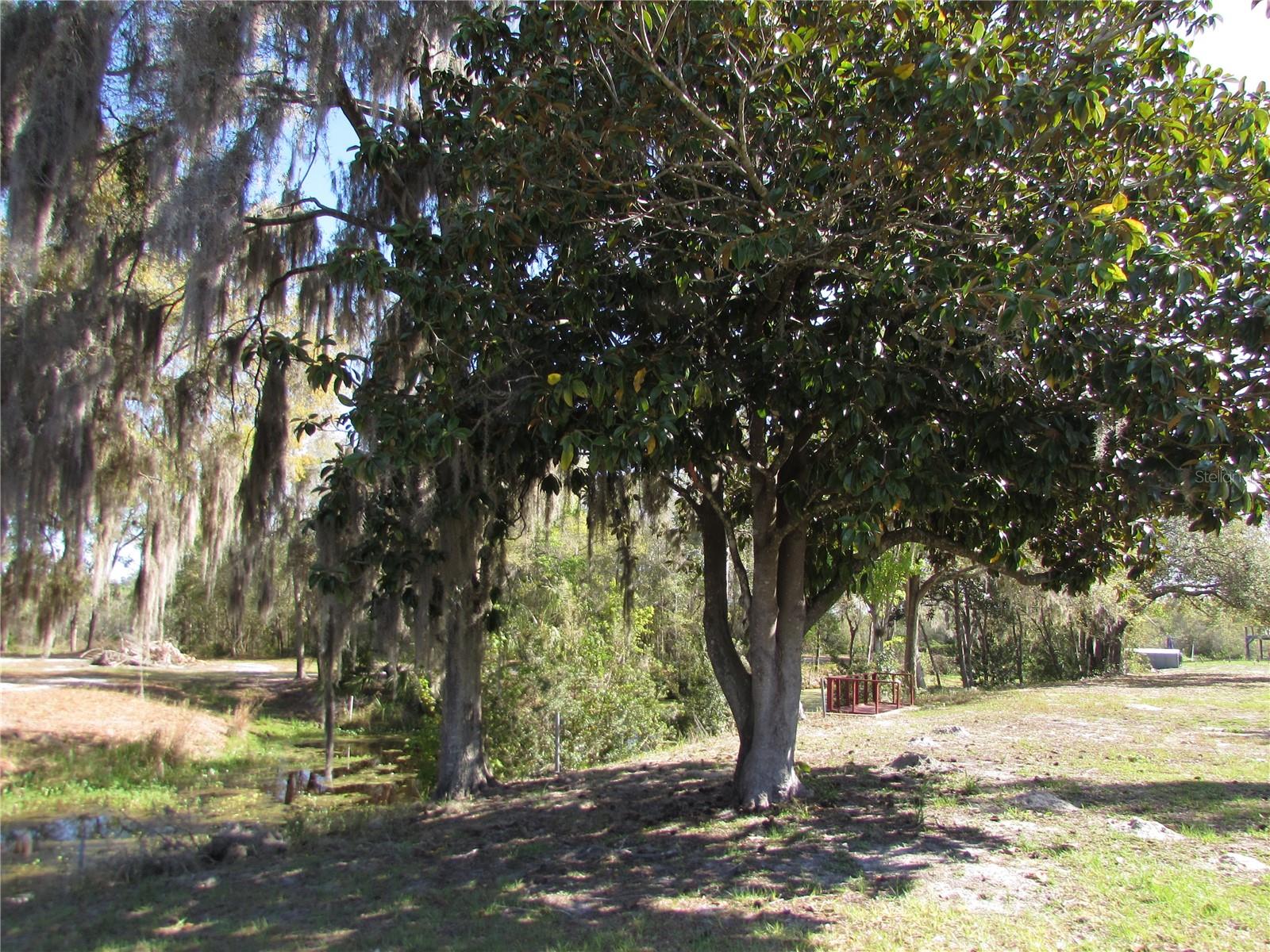11931 N BEARL TER, DUNNELLON, FL, 34433