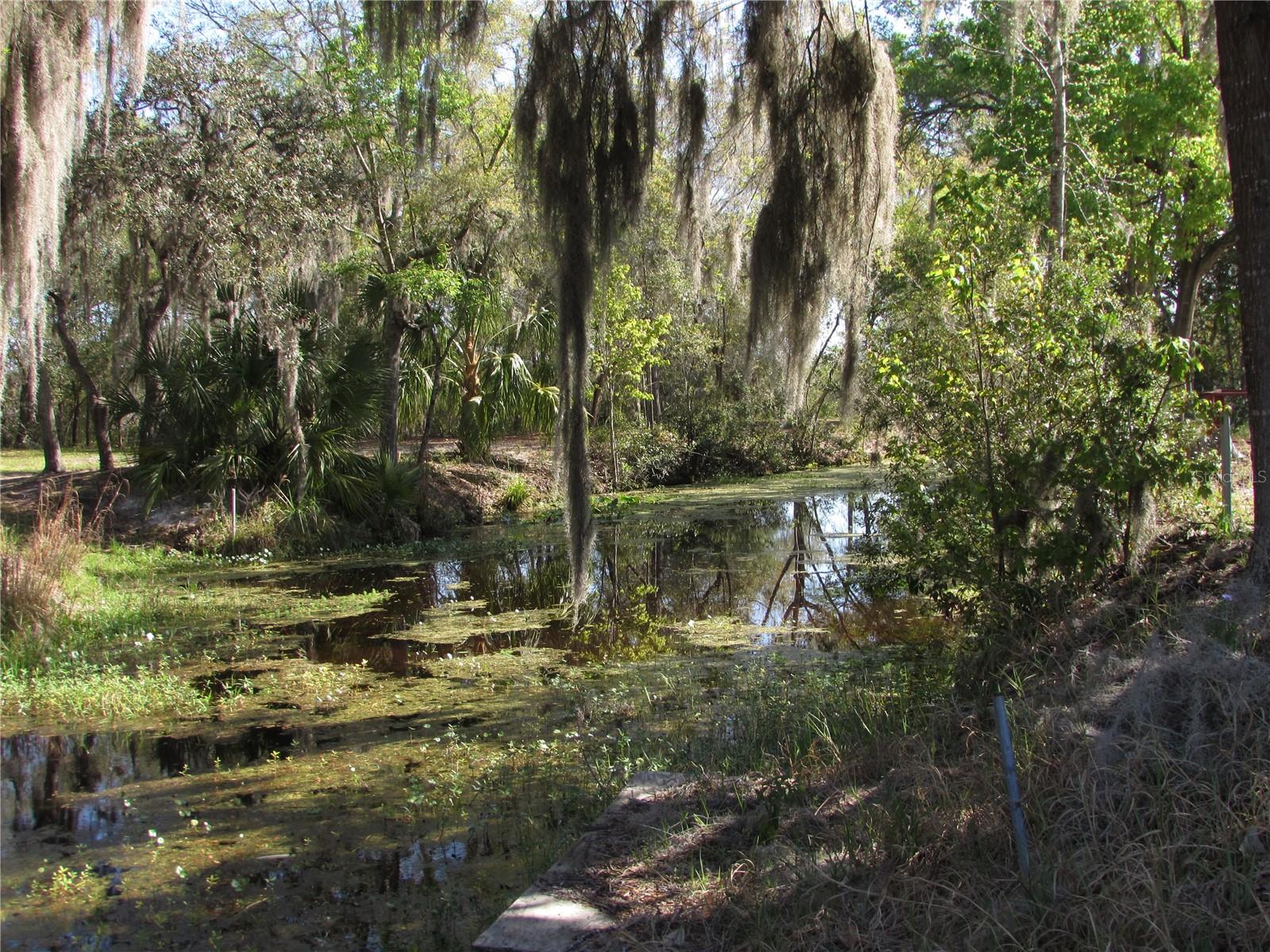 11931 N BEARL TER, DUNNELLON, FL, 34433