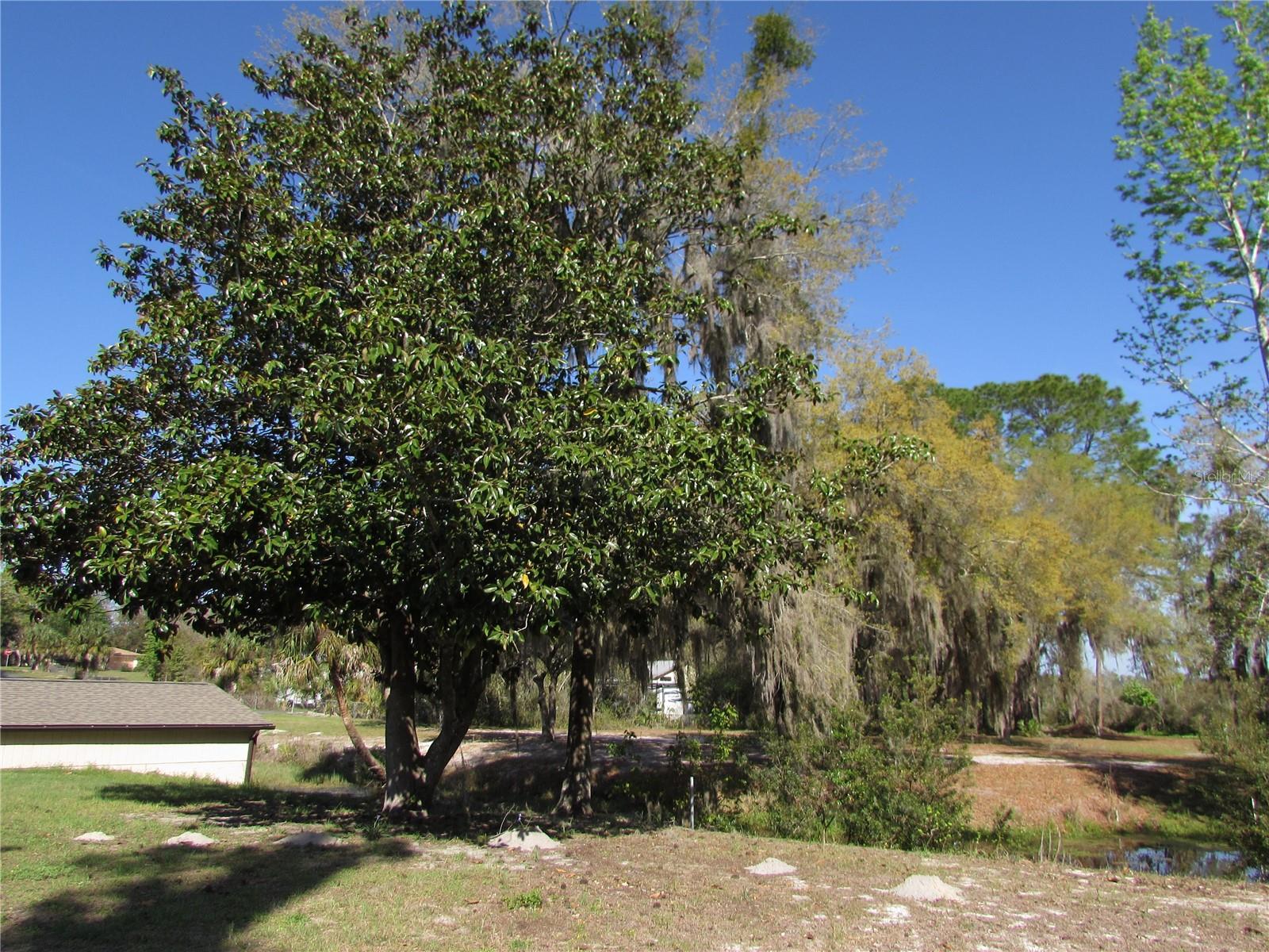 11931 N BEARL TER, DUNNELLON, FL, 34433