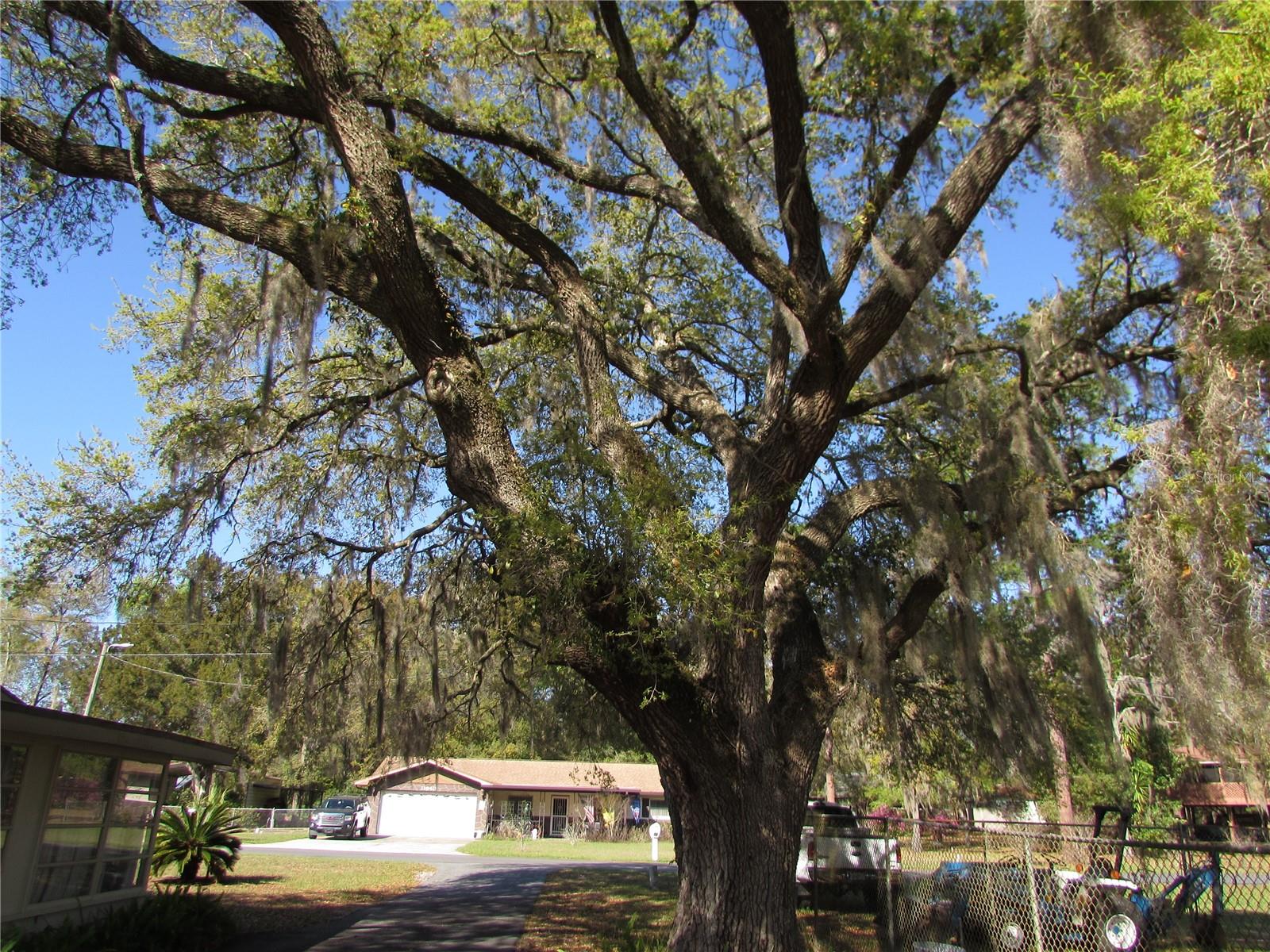 11931 N BEARL TER, DUNNELLON, FL, 34433