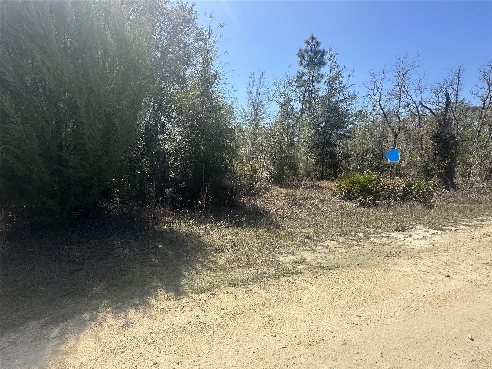 NE 66TH LN, BRONSON, FL, 32621