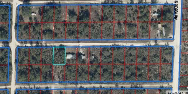 NE 66TH LN, BRONSON, FL, 32621