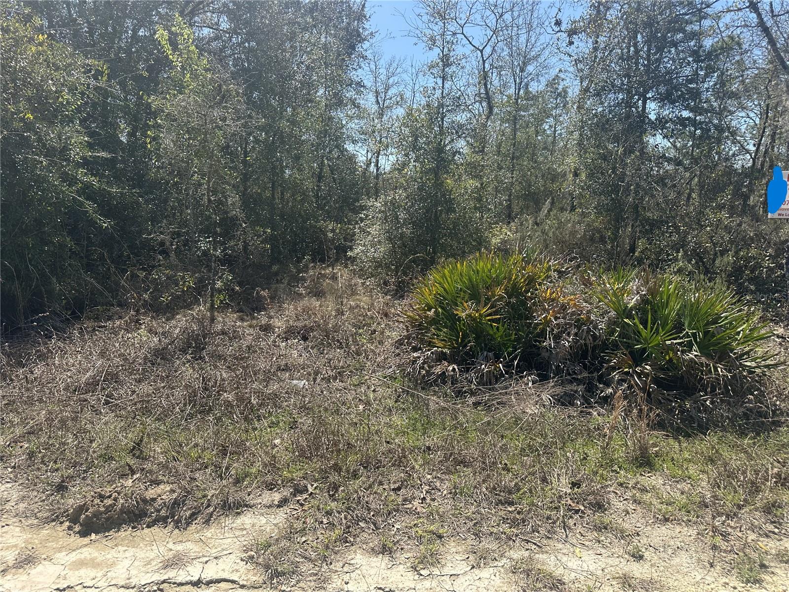 NE 66TH LN, BRONSON, FL, 32621