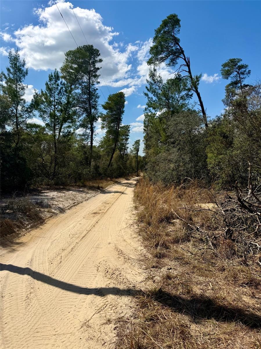 15575 NE 234TH PL, FORT MC COY, FL, 32134