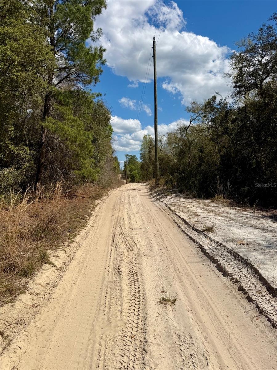 15575 NE 234TH PL, FORT MC COY, FL, 32134