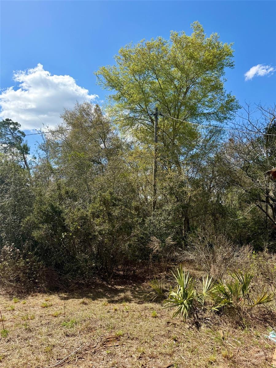 15575 NE 234TH PL, FORT MC COY, FL, 32134