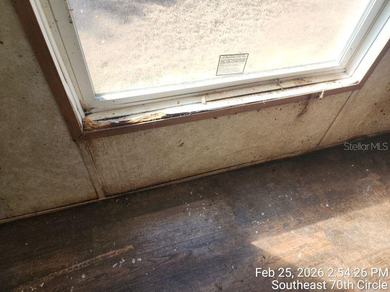 213 SE 70TH CIR, OCALA, FL, 34472