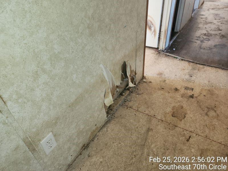 213 SE 70TH CIR, OCALA, FL, 34472