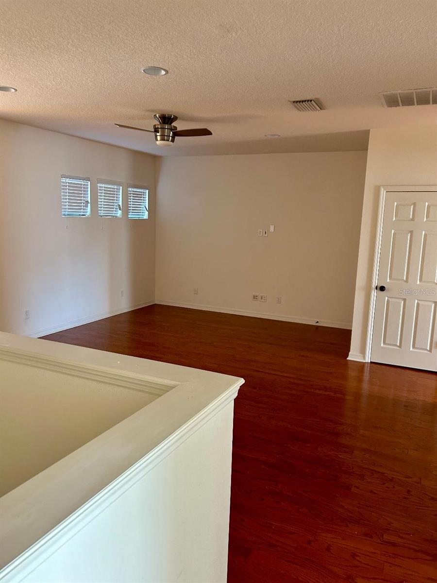 8818 TROPICAL PALM DR, TAMPA, FL, 33626