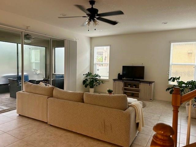 8818 TROPICAL PALM DR, TAMPA, FL, 33626