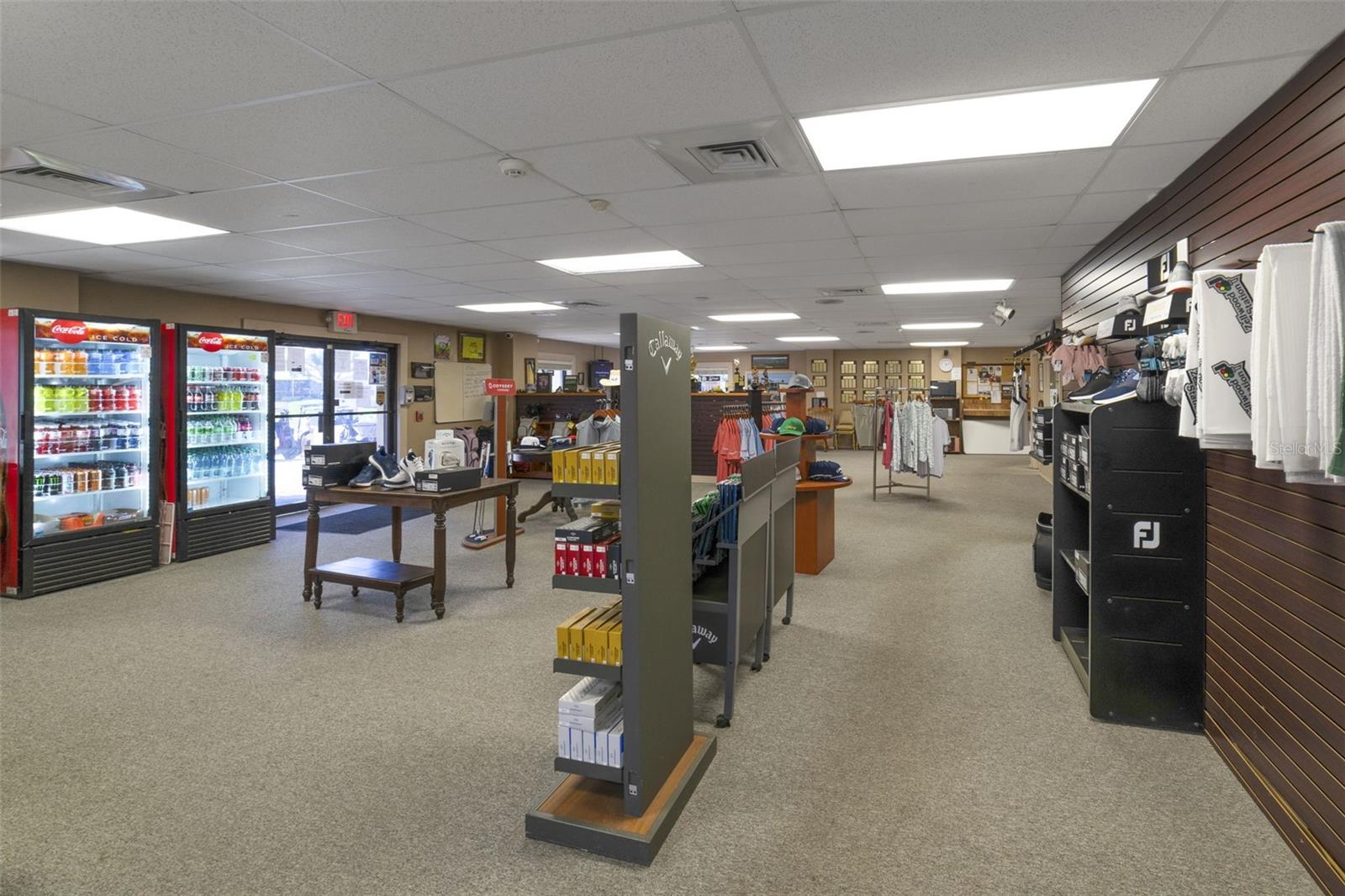 3952 N CITRUS CIR #688, ZELLWOOD, FL, 32798