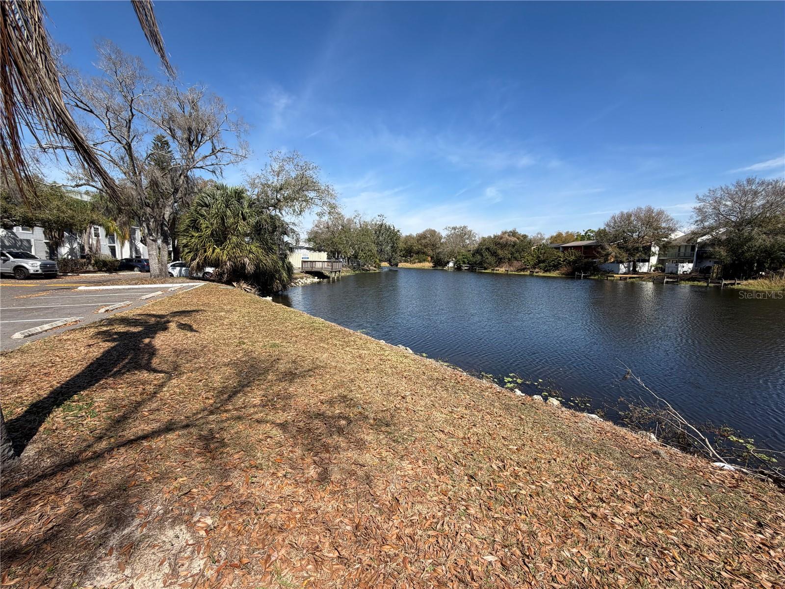 7113 E BANK DR #7113, TAMPA, FL, 33617