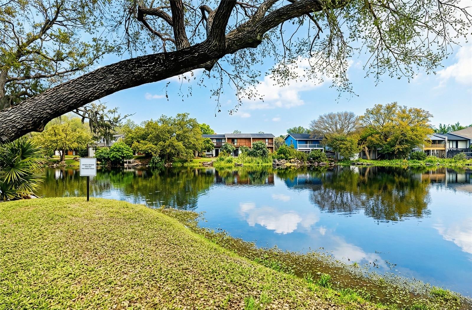 7113 E BANK DR #7113, TAMPA, FL, 33617