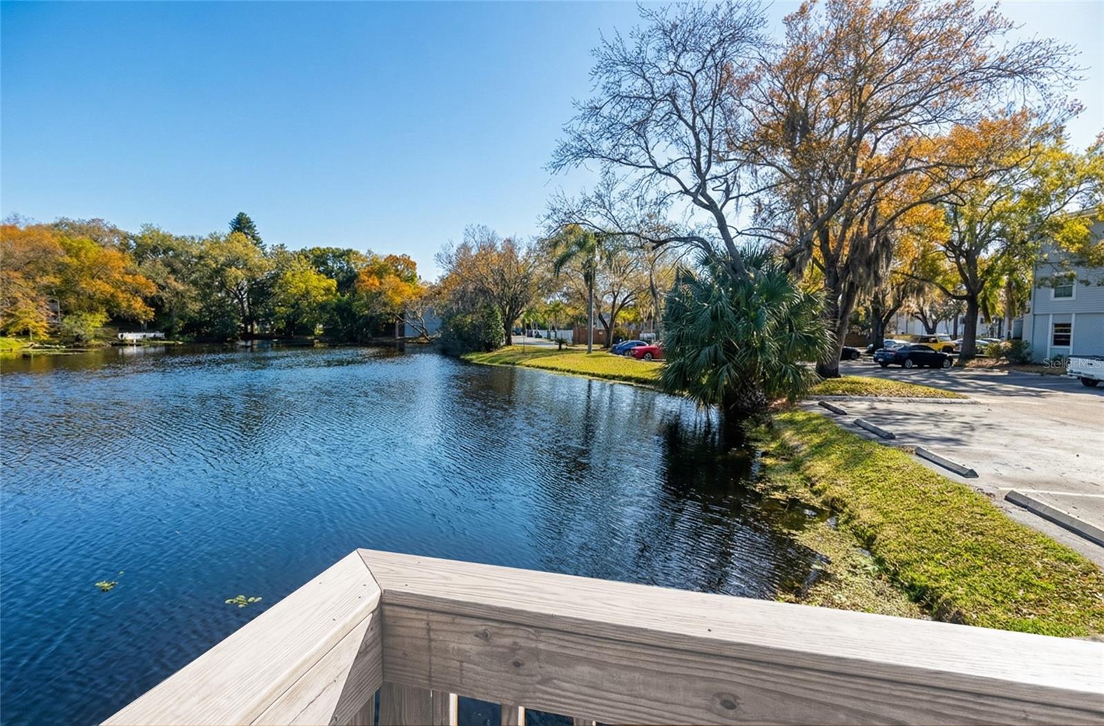 7113 E BANK DR #7113, TAMPA, FL, 33617