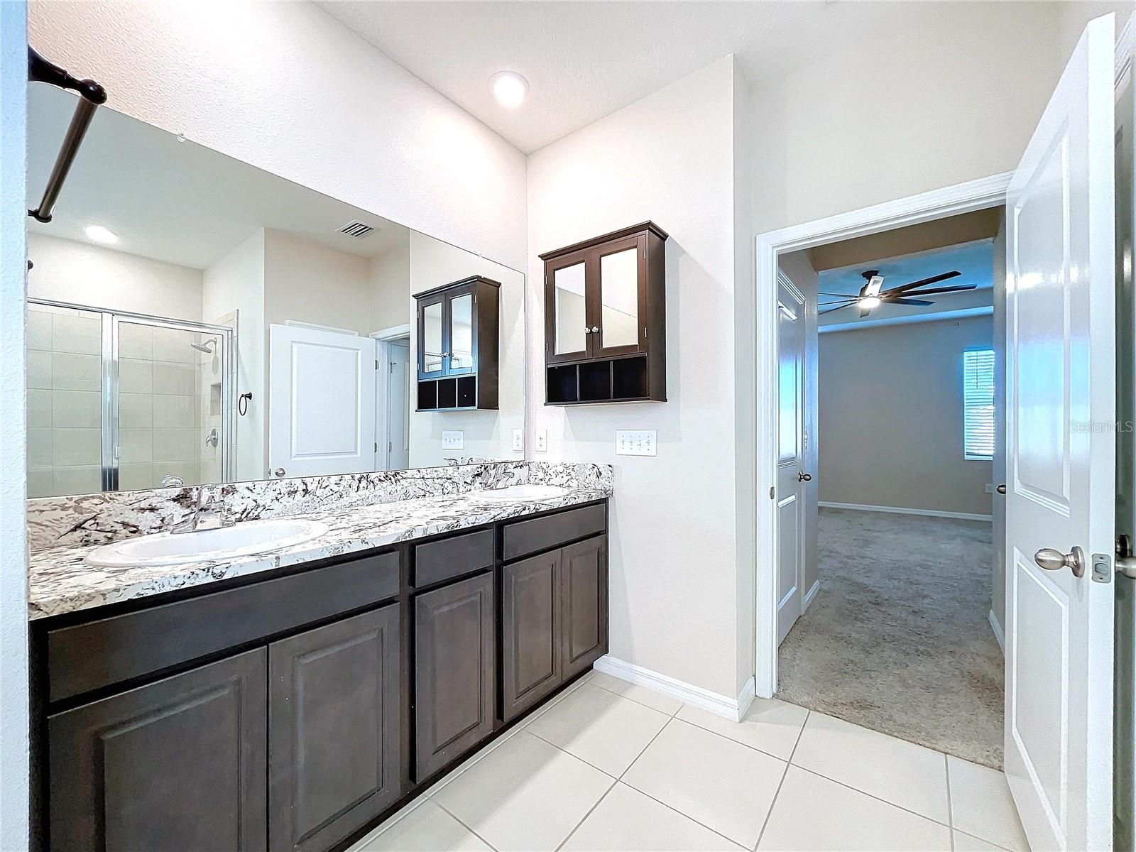 8341 BOWER BASS CIR, WESLEY CHAPEL, FL, 33545