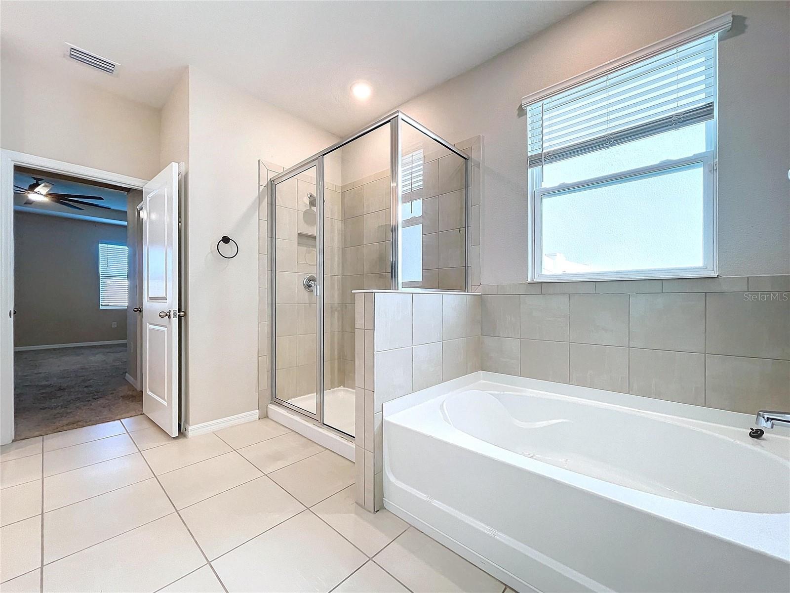 8341 BOWER BASS CIR, WESLEY CHAPEL, FL, 33545