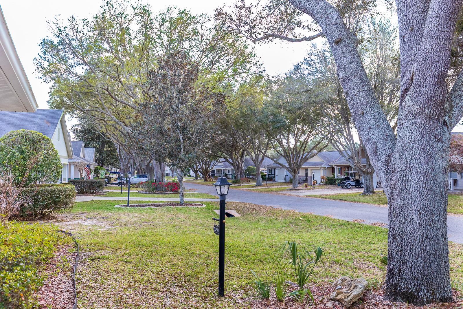 9629 SW 95TH TER #D, OCALA, FL, 34481