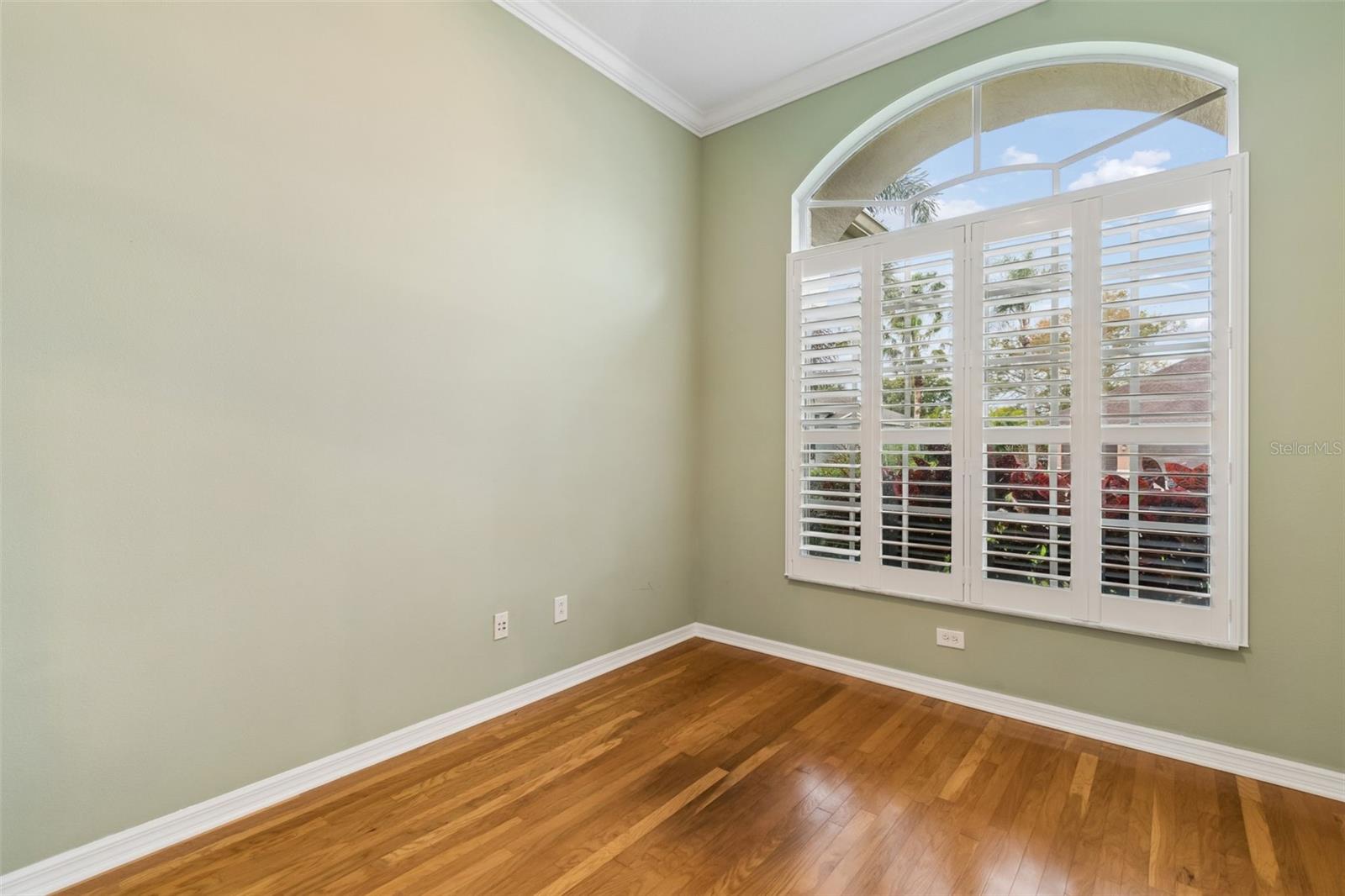 2108 HAMMOCK PARK CT, TRINITY, FL, 34655