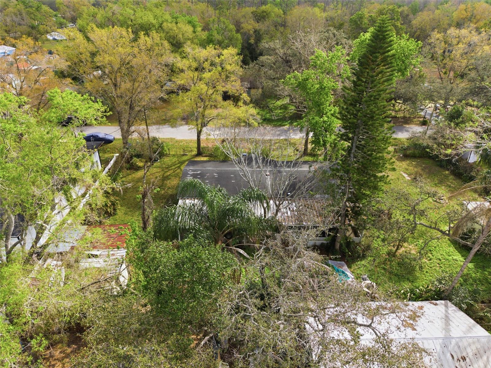 12302 PITTSFIELD AVE, TAMPA, FL, 33624