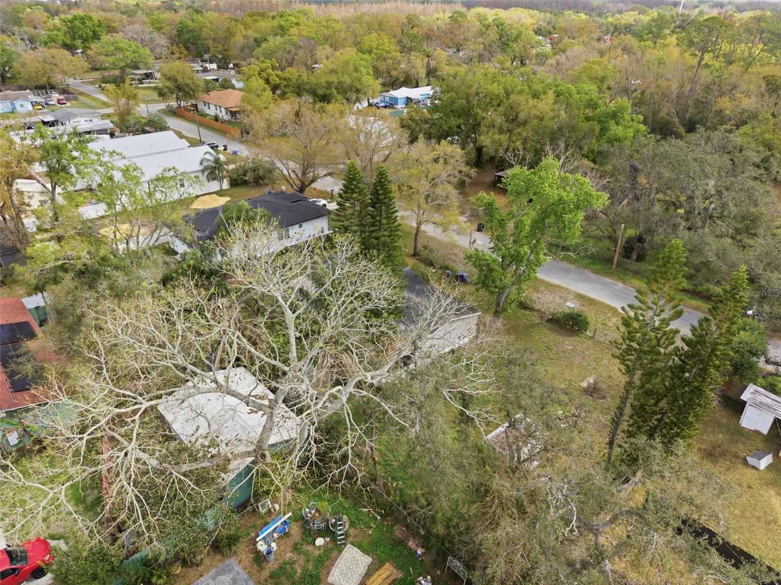 12302 PITTSFIELD AVE, TAMPA, FL, 33624