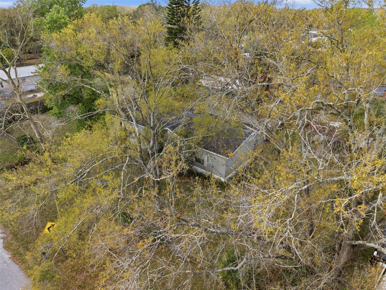 12302 PITTSFIELD AVE, TAMPA, FL, 33624