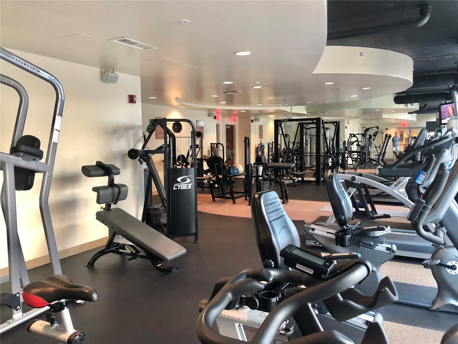 155 S COURT AVE #2903, ORLANDO, FL, 32801