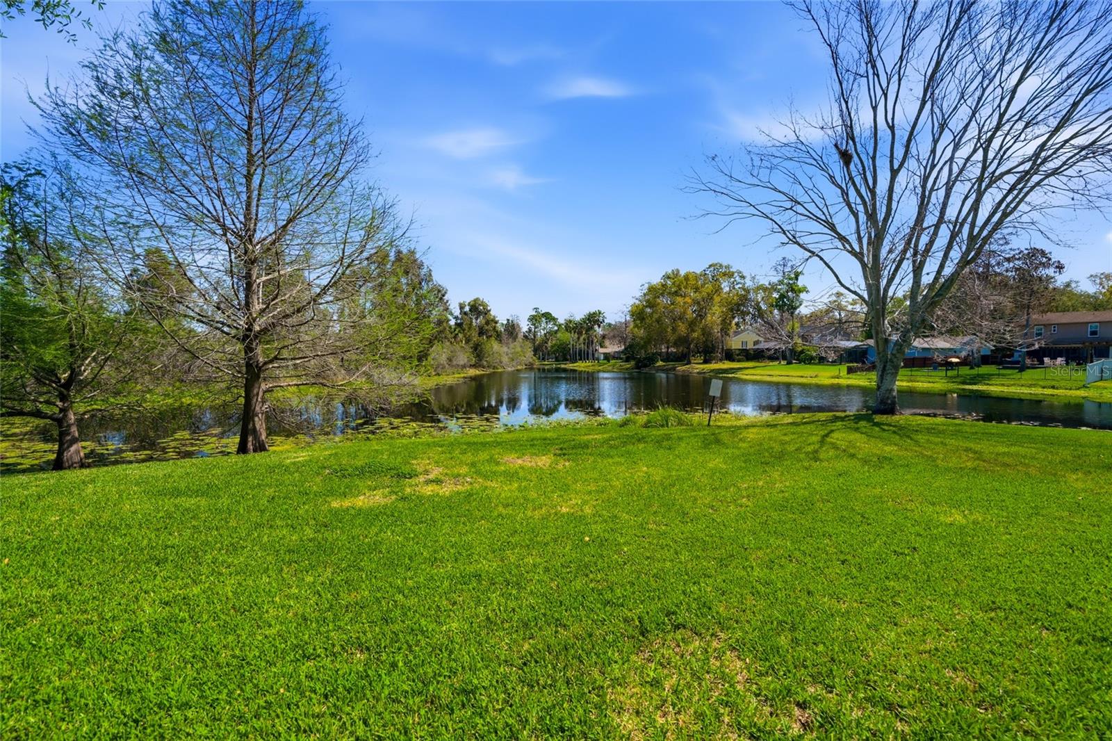 16511 LAKE BRIGADOON CIR, TAMPA, FL, 33618
