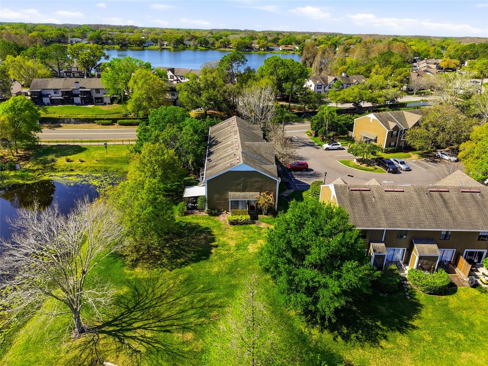 16511 LAKE BRIGADOON CIR, TAMPA, FL, 33618