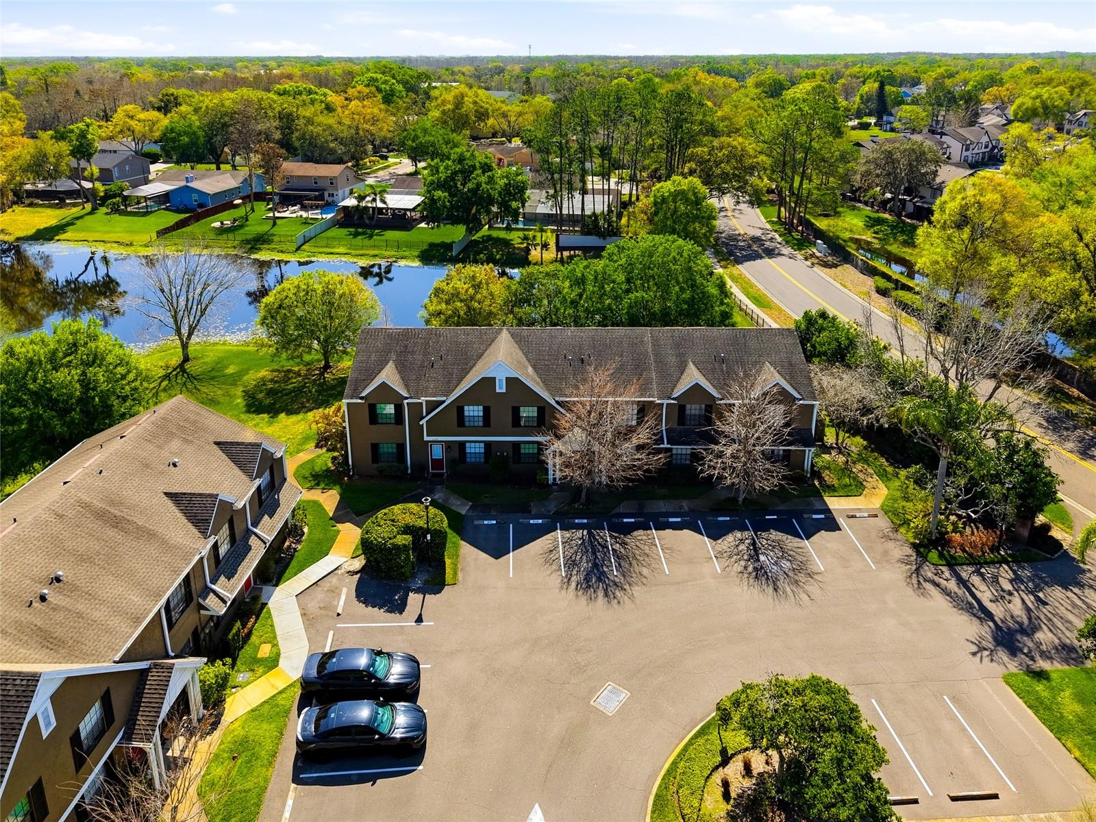 16511 LAKE BRIGADOON CIR, TAMPA, FL, 33618